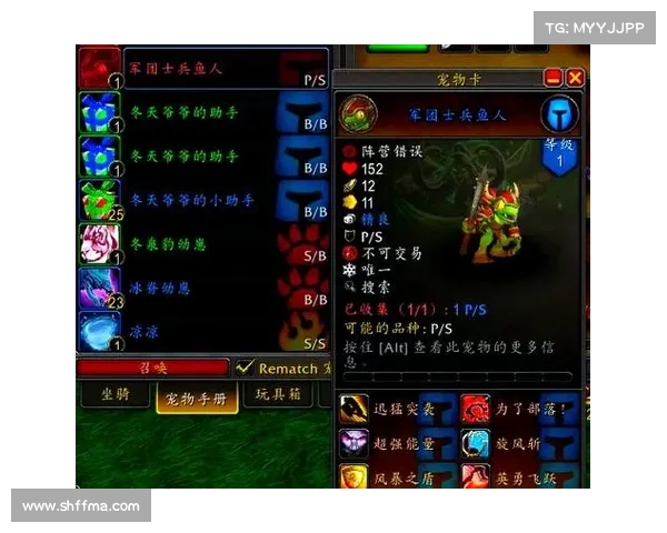 魔兽世界宠物治疗秘籍